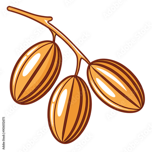 Almond branch illustration