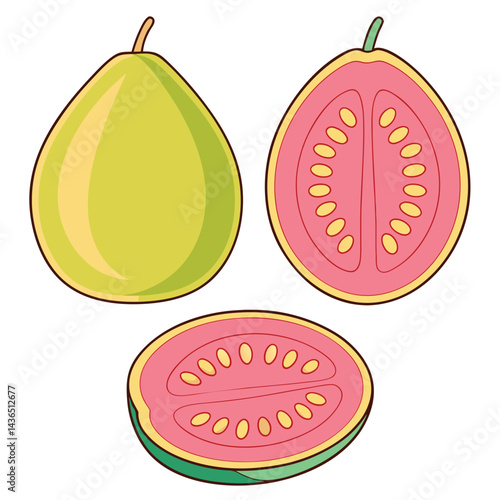Colorful guava illustration with whole and sliced views