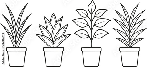 Line Art Illustration Of Four Houseplants In Pots Vector Outline Design