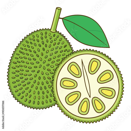 Jackfruit illustration