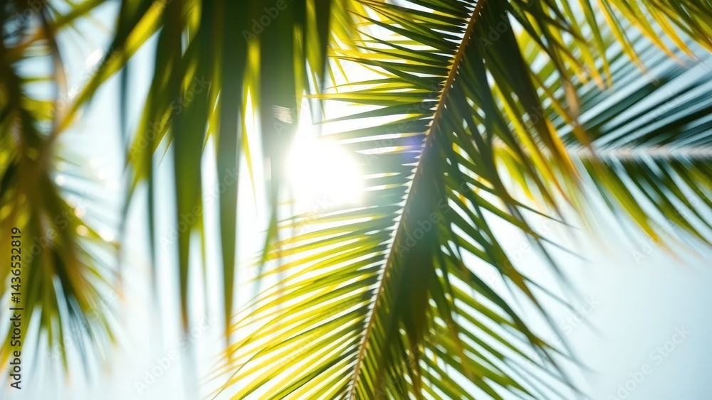 Naklejka premium coconut palm tree