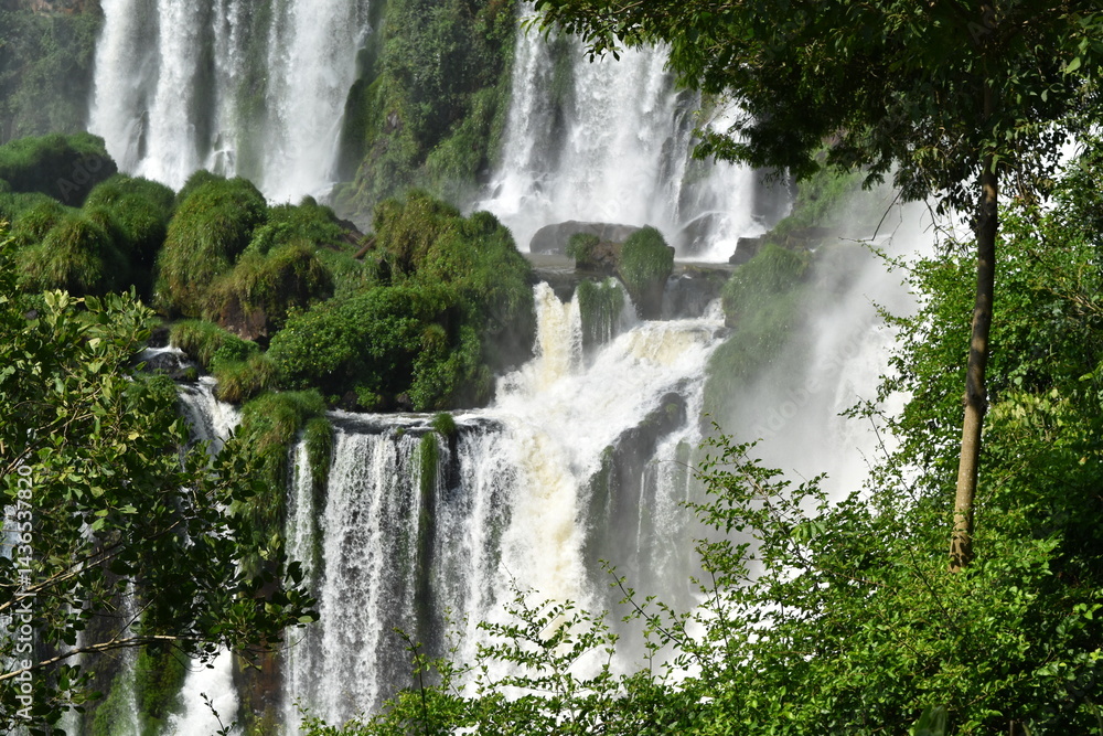 Fototapeta premium Iguazu waterfalls