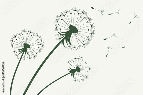 76 Macro photography, three dandelion seed heads, delicate fluffy white seeds, ethereal, dreamy atmosphere, soft focus, high contrast, green stems, intricate details, nature close-up, light background