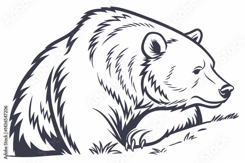 vector illustration of a bear