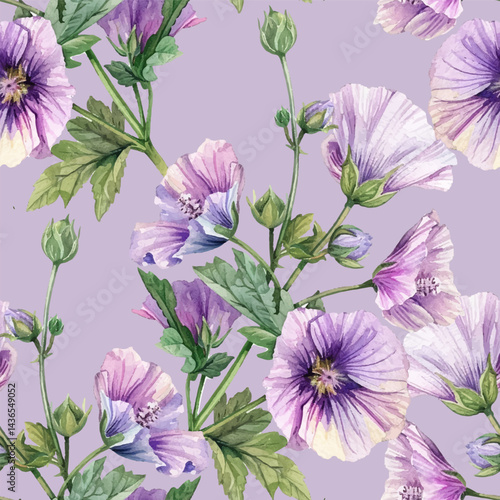 Beautiful purple Malva or mallow flowers with lush green leaves on a soft lav...
