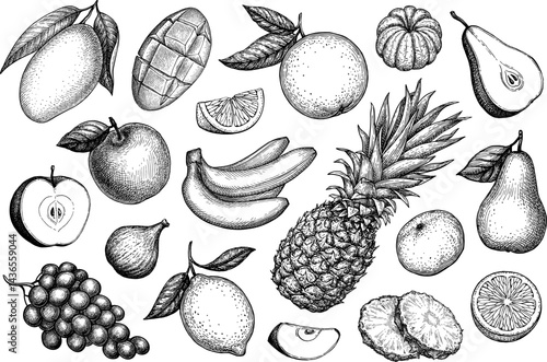 Fruits big set ink sketch.