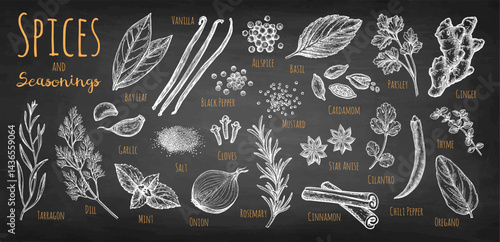 Chalk Drawings of Spices and Herbs.