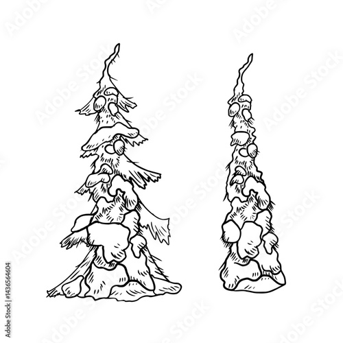 Winter conifer tree hand drawn black white vector engraving illustration. Monochrome ink drawings of fir trees under snow for design nature holiday graphics and woodland scene, seasonal crafts.