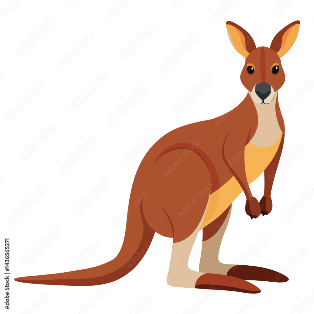 Kangaroo Vector Kangaroo Vector