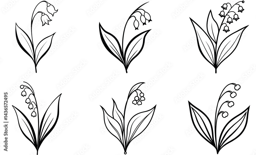Elegant Black and White Lily of the Valley Illustration Elegant Black and White Lily of the Valley Illustration