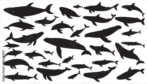 A vector set showcases silhouettes of fish and various sea animals