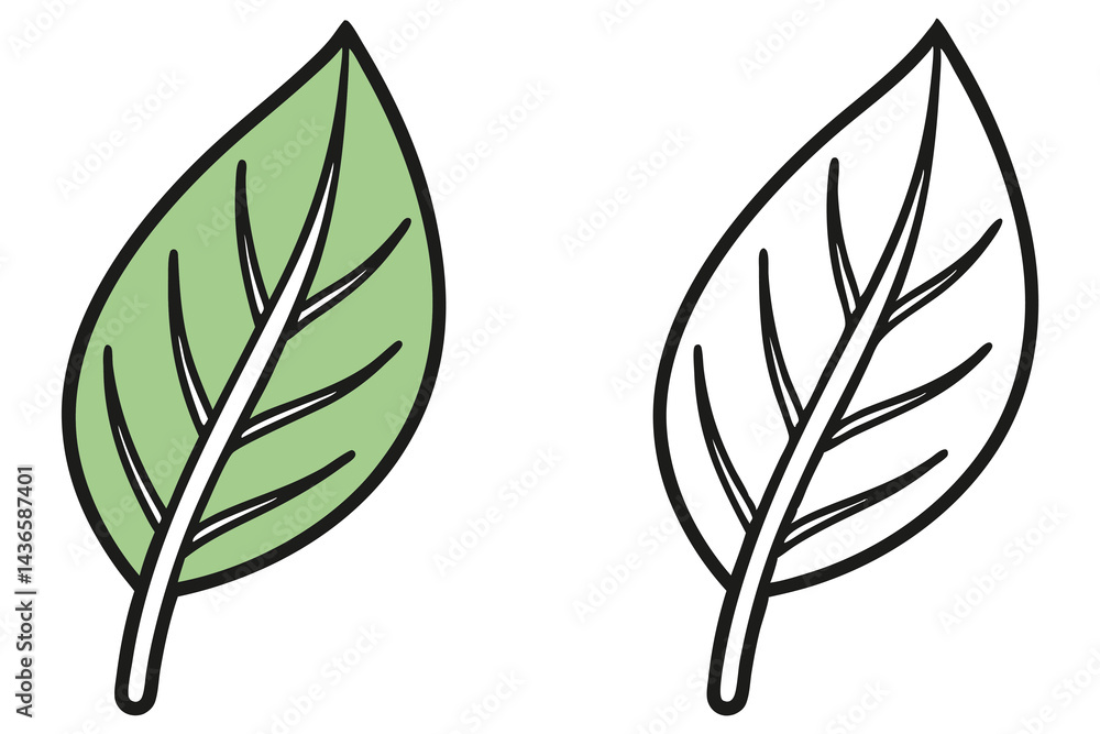 Fototapeta premium Two Leaves One Green Color, Other Line Drawing on White Background