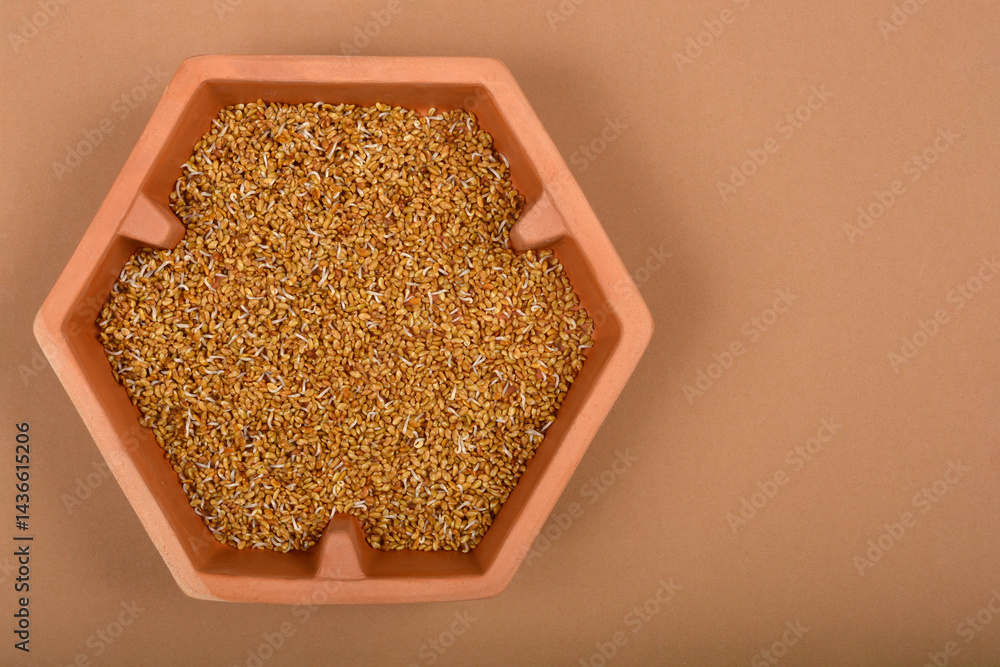 A top-down shot shows a terracotta-colored hexagonal container filled with alfalfa sprouts on a light brown surface with copy space