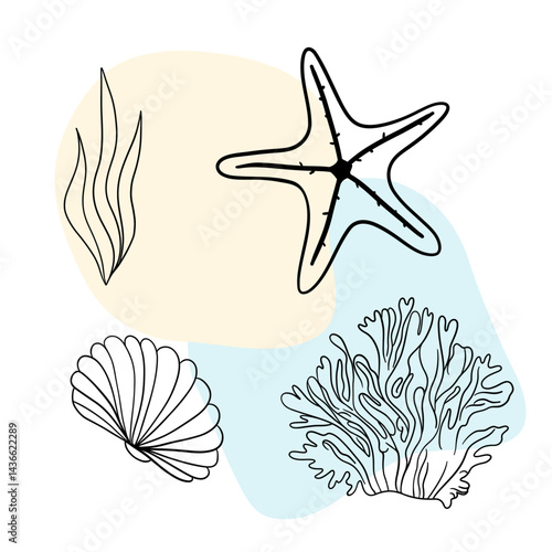 Underwater sea nature plant, Seastar, coral and algae. Tropical aqua marine sketch.  Hand drawn line art