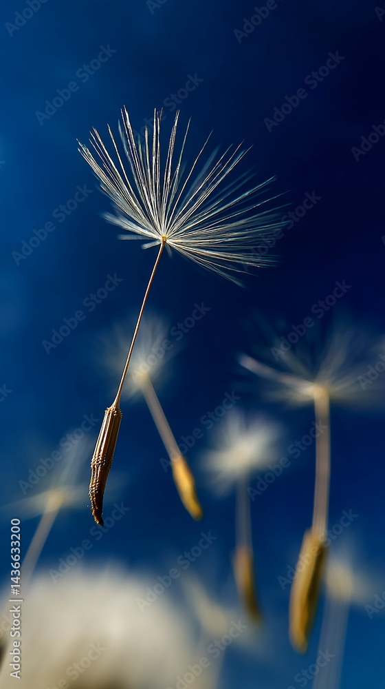 Obraz premium Dandelion seed head against a deep blue sky, showcasing delicate white filaments and brown stem, representing lightness, freedom, and the ephemeral nature of life