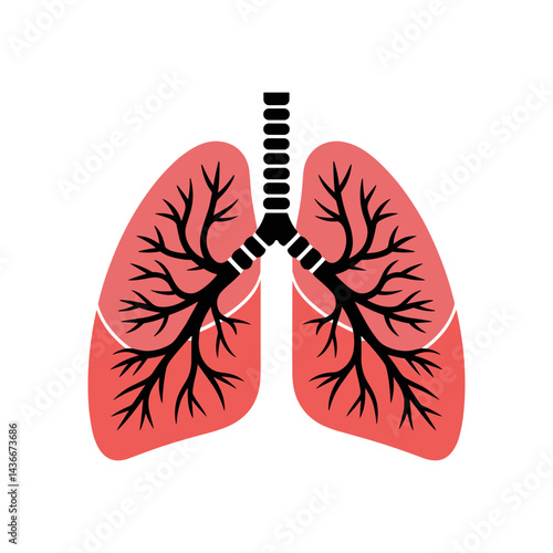 Lungs in Silhouette: A simplified yet elegant illustration of the human lungs, showcasing the intricate network of bronchial tubes and alveoli, a symbolic representation of respiration and health.