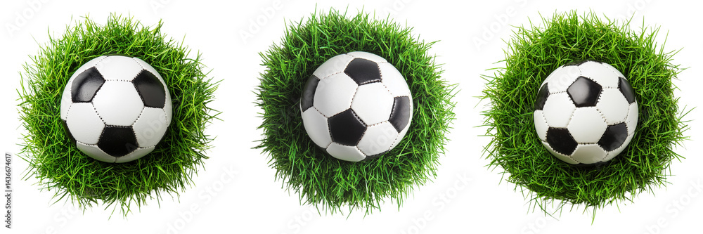 Fototapeta premium A set of soccer football ball on vibrant green grass isolated on a transparent background