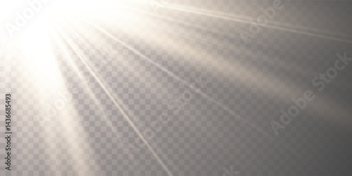 Sunlight Rays with Soft Glow on Transparent Background for Nature, Sky, Morning, and Spiritual Designs. Perfect for Backdrops, Posters, and Web Banners. High-Quality Vector Illustration