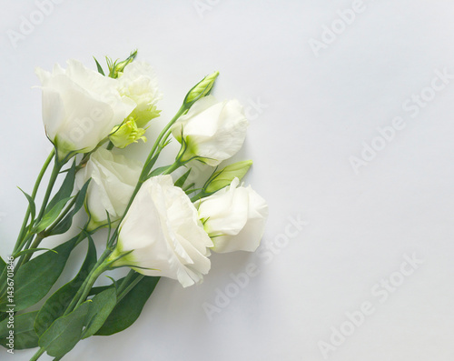 Bouquet of white eustoma flowers on a white background