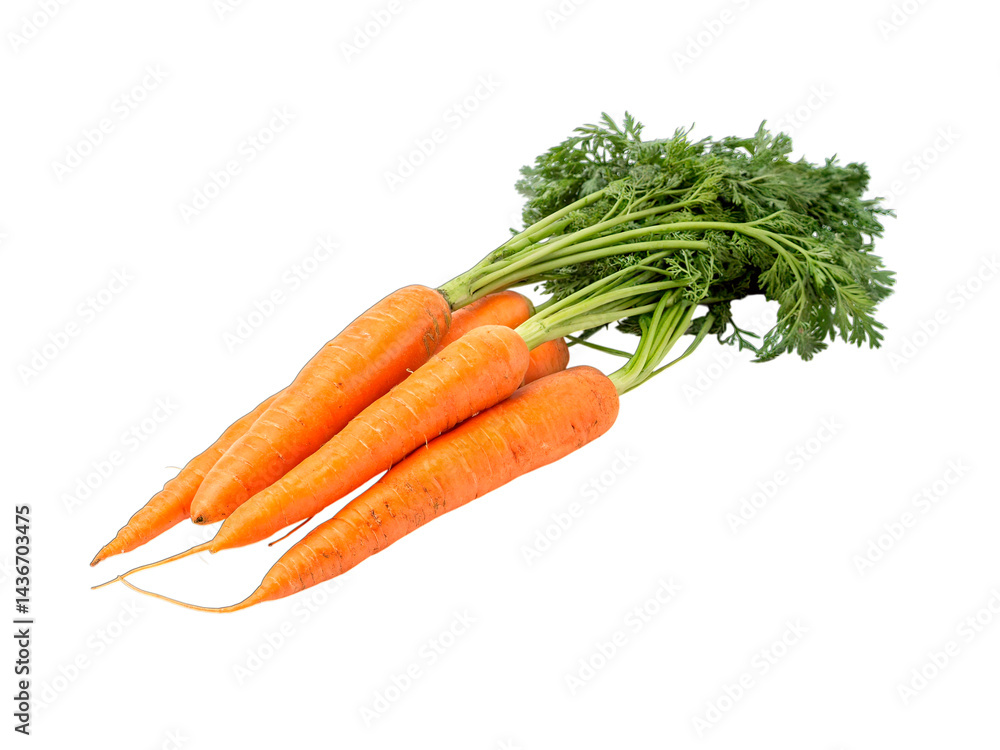 Carrot isolated isolated on transparent background Carrot isolated isolated on transparent background