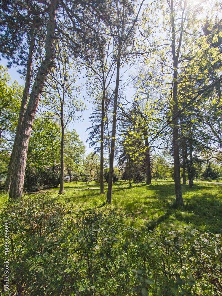 Fototapeta premium Landscape of Boris Garden in city of Sofia, Bulgaria