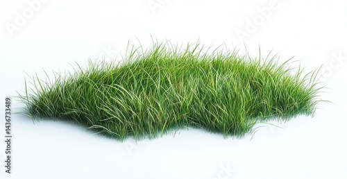 Lush green grass tuft