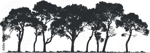 Silhouette of multiple trees standing closely together with detailed branches and foliage on white background