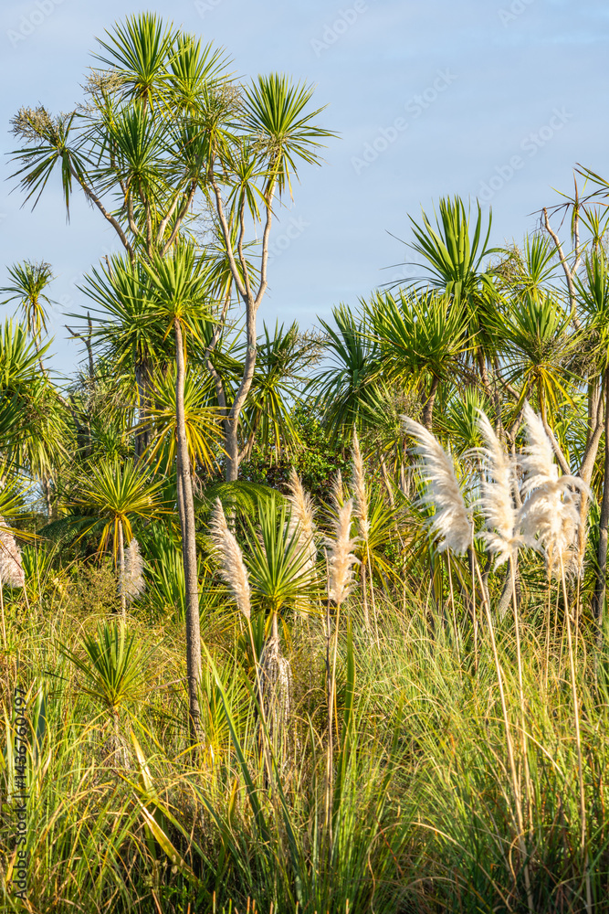 Wetland vegetation comprising New Zealand cabbage tree and pampas grass in vertical composition
