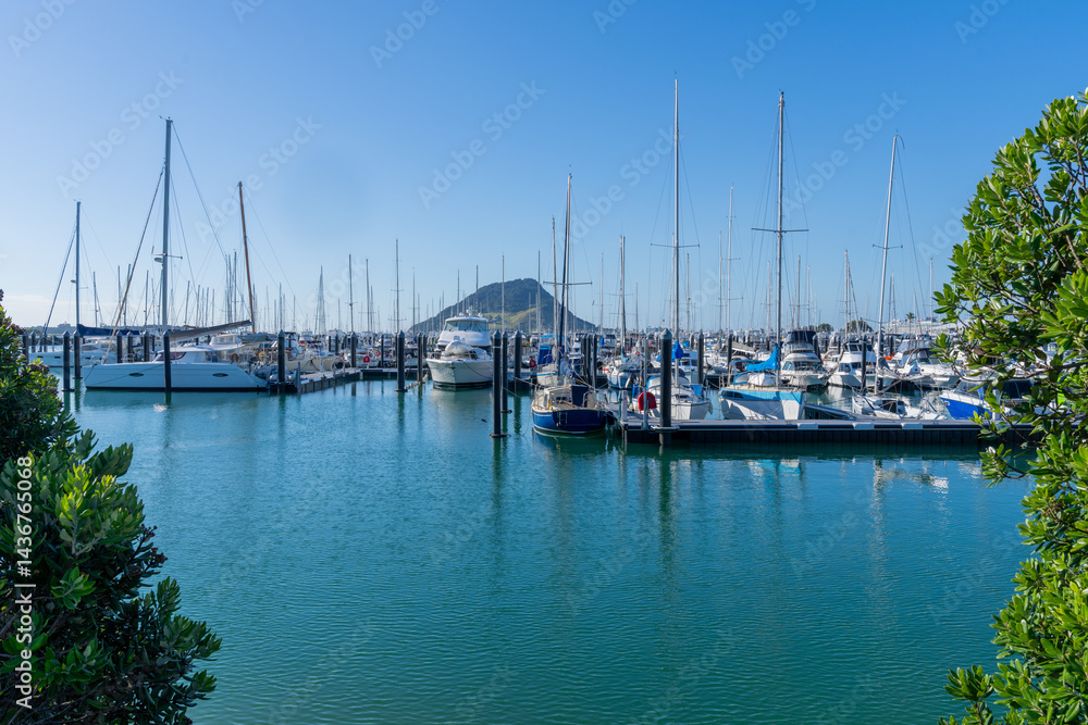 Tauranga Marina piers and boats with landmark Mount Maunganui in background under blue sky
