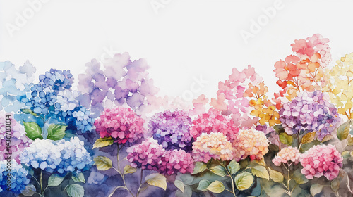 Wallpaper Mural watercolor botanical Hydrangea flowers texture template background.Elegant wedding invitation card background . Minimal hand painted Design for wedding or Valentine's Day Torontodigital.ca