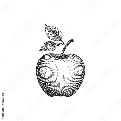 apple pencil drawing