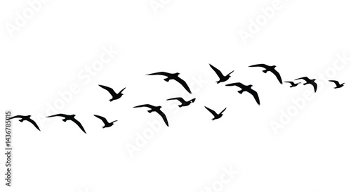 Minimalist Flying Bird Flock Silhouette
