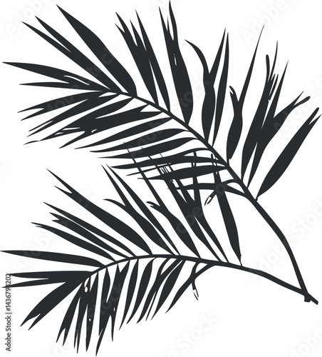 Black silhouette of a palm leaf branch with detailed elongated leaves on white background