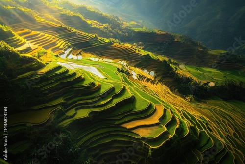 Sunlit rice terraces cascade down a mountainside, creating a breathtaking, layered landscape.