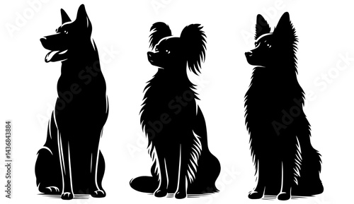 Three dogs are sitting in a row, with one of them looking at the camera. The dogs are all black and have long hair. Scene is calm and peaceful, as the dogs seem to be enjoying their time together