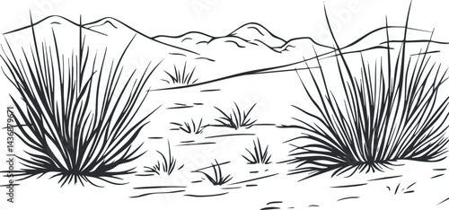 Black and white line drawing of desert landscape with spiky plants and distant mountains