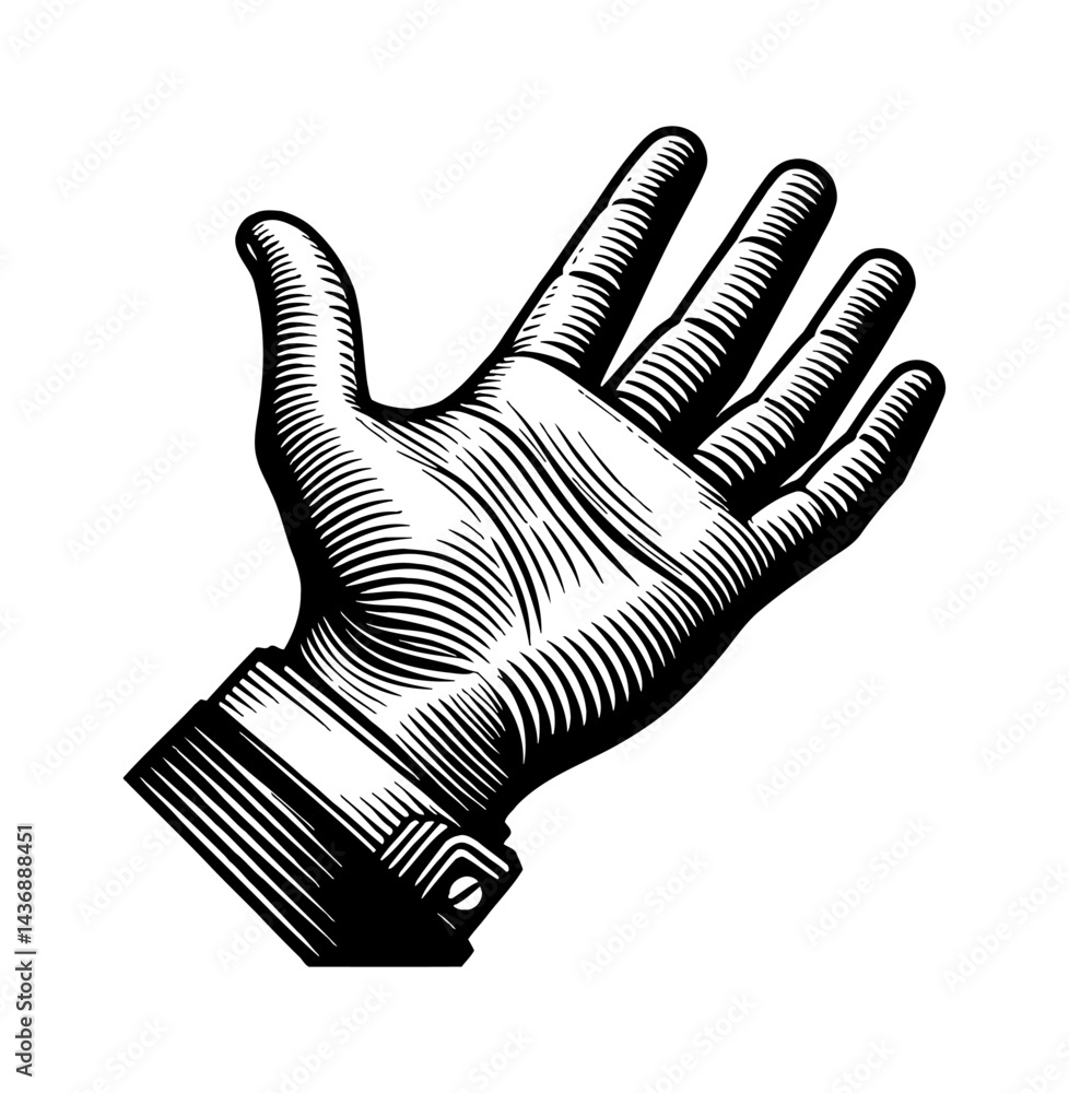 Engraved Hand Illustration in Black and White with Detailed Hatching Texture Engraved Hand Illustration in Black and White with Detailed Hatching Texture