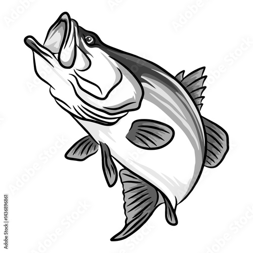 barramundi fishing illustration logo vector image t shirt