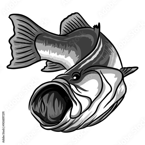 barramundi fishing illustration logo vector image t shirt