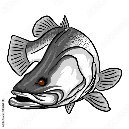 barramundi fishing illustration logo vector image t shirt