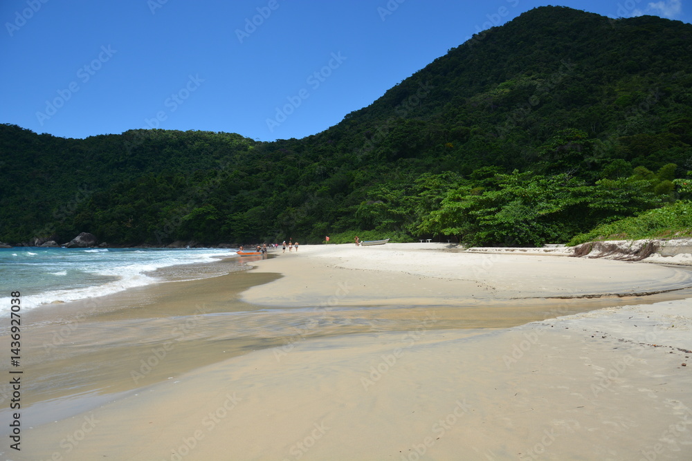 trindade