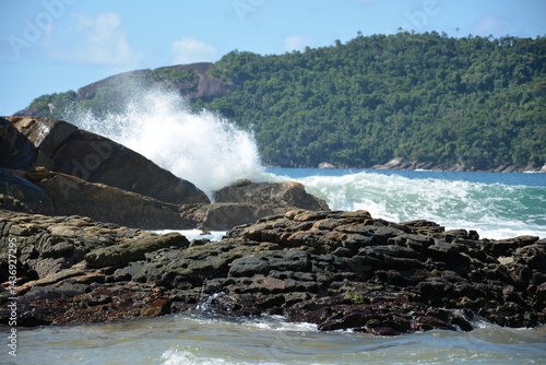trindade