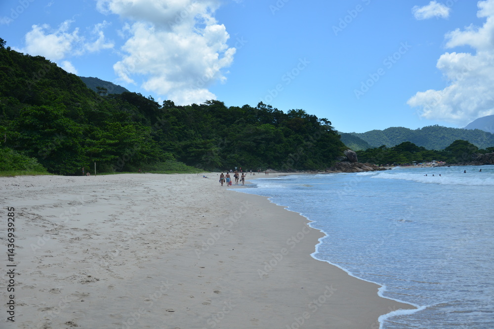 trindade