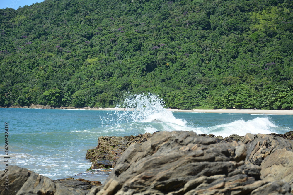 trindade