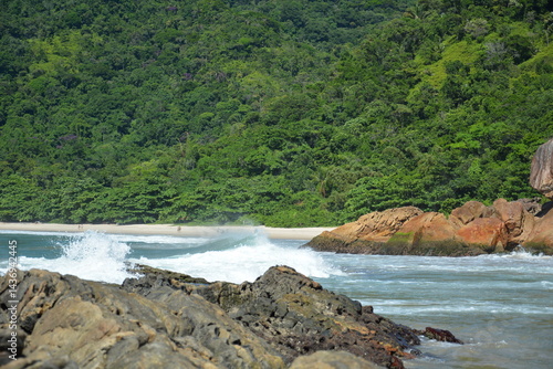 trindade