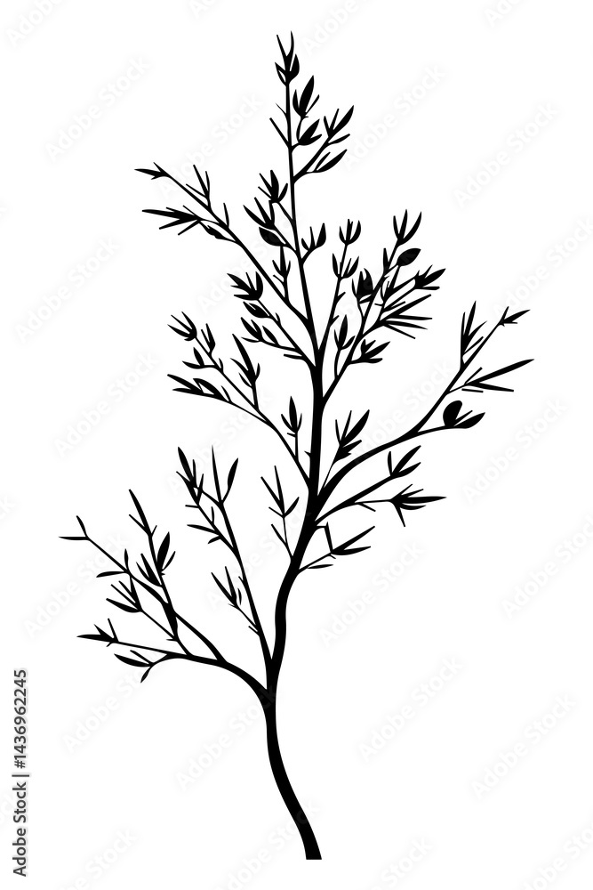Fototapeta premium PNG Minimalist botanical silhouette design, transparent background