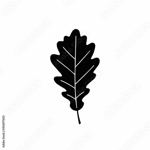 Black oak leaf with white veins isolated on white background, minimalism style