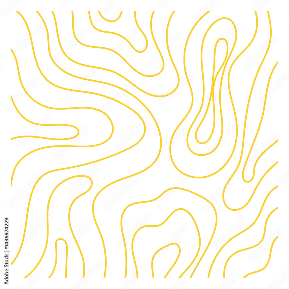 Fototapeta premium Topography Pattern
