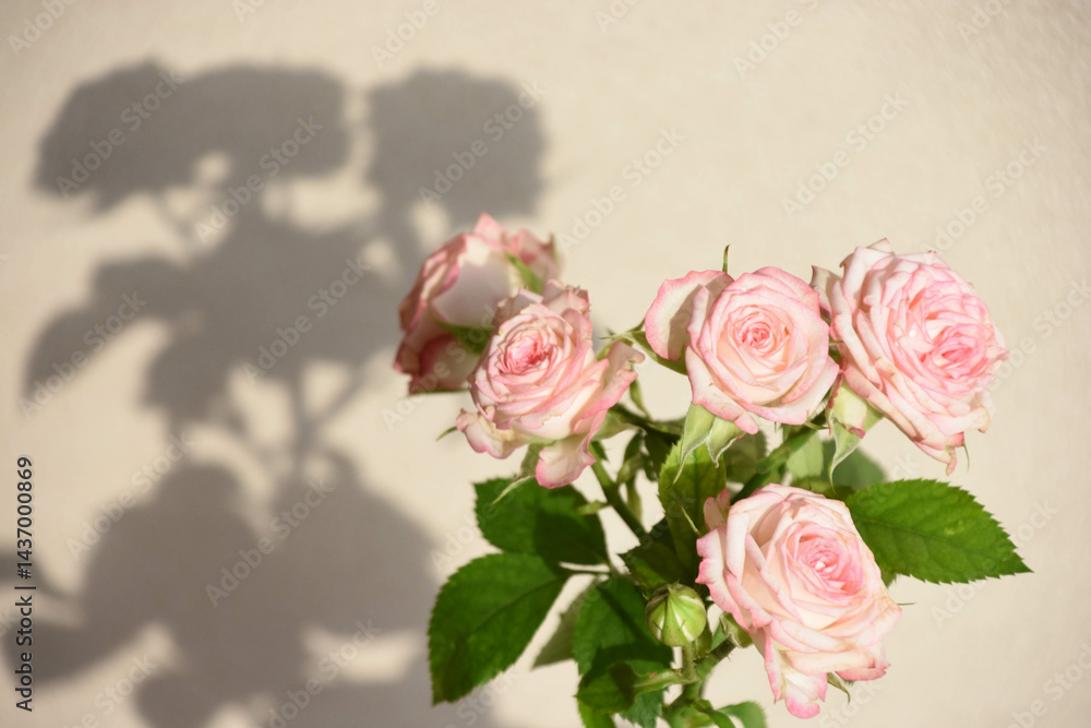 Obraz premium ピンクのばら