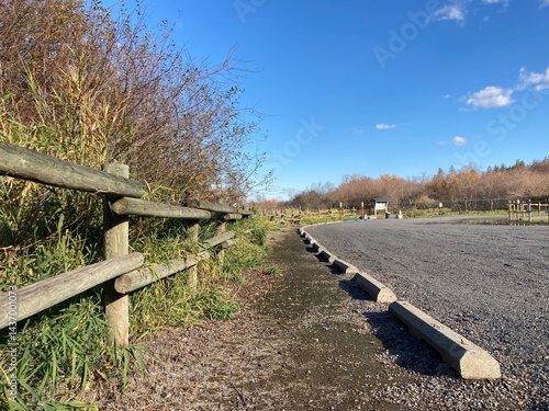 the road to the countryside